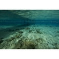 thumbnail image 1 of Shallow waters under Salt Pier  Bonaire  Caribbean Netherlands Poster Print, 1 of 2