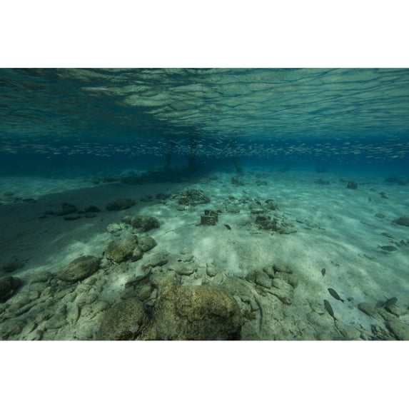 Shallow waters under Salt Pier Bonaire Caribbean Netherlands Poster Print