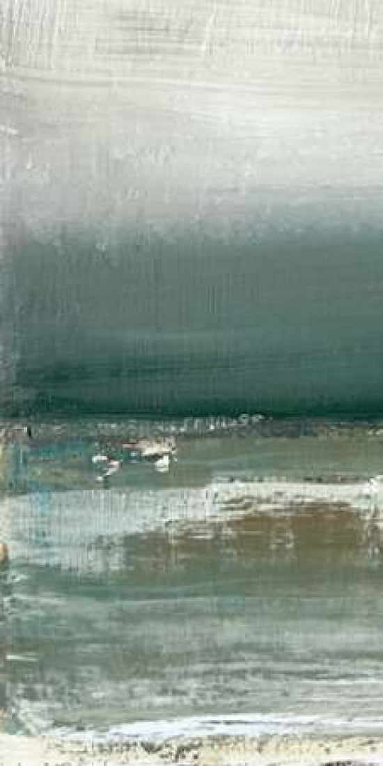 Shallows I Canvas Art - Caroline Gold (10 x 20)