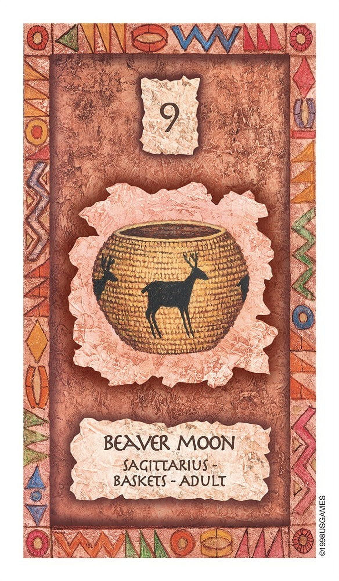 Shaman Wisdom Cards Tarot Cards 65Card Deck (Other)