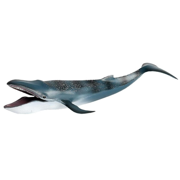 Shamjina 12'' Model Action Figure Sea Animal Creatures Educational