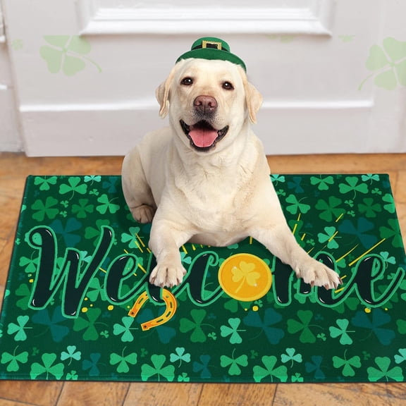 Shamrock Doormat Non-Slip Absorbent Resist Dirt Coin Front Door Mat Machine Washable St. Patrick''s Day Mats Outdoor Inside Floor Rugs for Entryway 30" X 17"