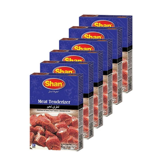 Shan Meat Tenderizer Mix - 40g Powder(Pack of 6)