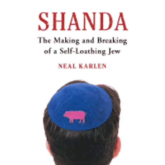 Pre-Owned Shanda: The Making and Breaking of a Self-Loathing Jew (Hardcover) 0743213823 9780743213820