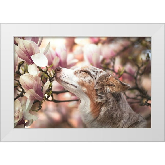 Shandor, Ve 18x13 White Modern Wood Framed Museum Art Print Titled - Dawn Of Blossom