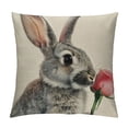 thumbnail image 1 of Shangniulu Easter Bunny Tulip Throw Pillow Cover, multiple sizes available， Spring Easter Gray Rabbit Cushion Case Decoration for Sofa Couch, 1 of 5