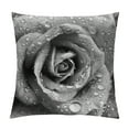 thumbnail image 1 of Shangniulu Flower Throw Pillow Cushion Cover, Retro Romantic Rose Petal with Rain Water Drops Valentines Love Picture, Decorative Square Accent Pillow Case, 1 of 5