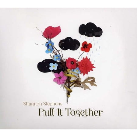 Shannon Stephens - Put It Together - Music & Performance - CD