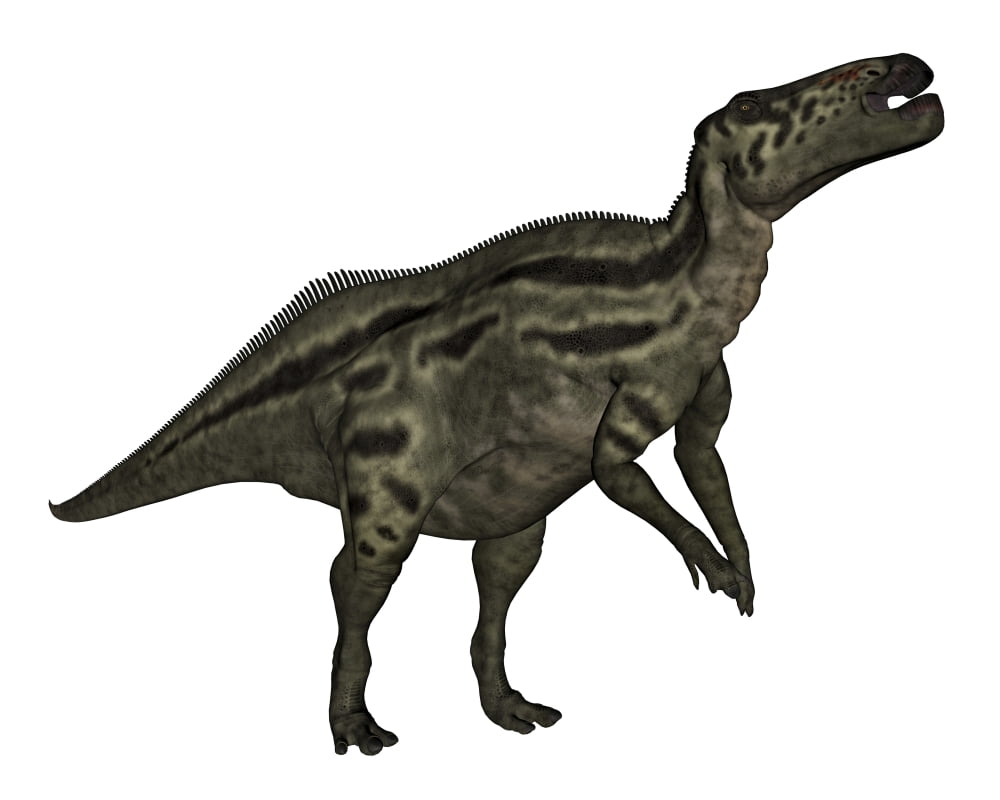 Shantungosaurus dinosaur Canvas Art - Elena DuvernayStocktrek Images (32 x 26)