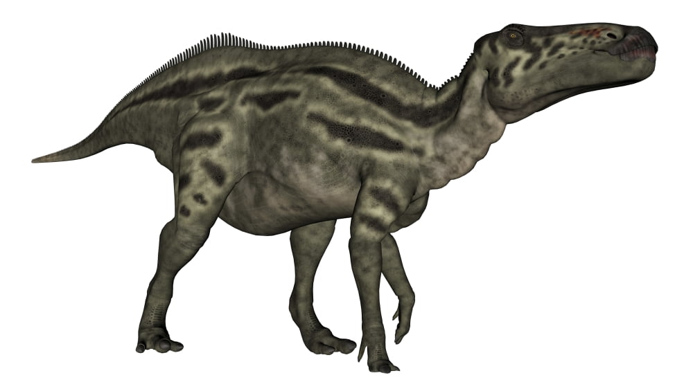 Shantungosaurus dinosaur Canvas Art - Elena DuvernayStocktrek Images (38 x 22)
