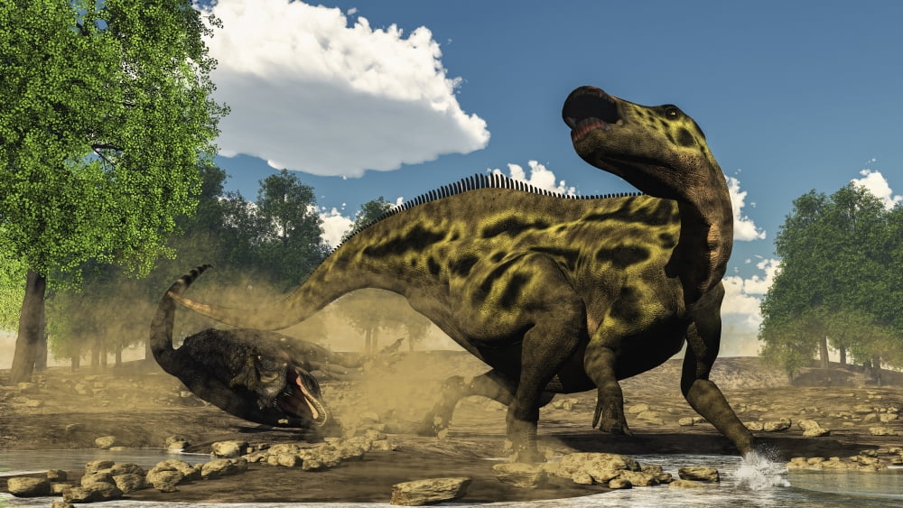 Shantungosaurus dinosaur defending itself from a Tarbosaurus attack Canvas Art - Elena DuvernayStocktrek Images (19 x 11)