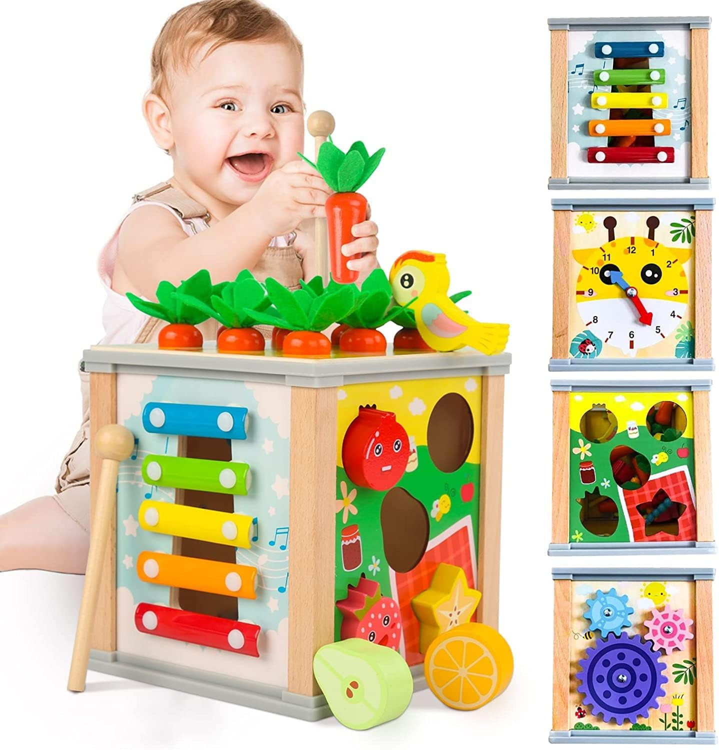 Educational Montessori Shape Sorter Toys for 12-24 Months Old, Learning ...