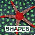 thumbnail image 1 of Pre-Owned Shapes (Board book) 0544518306 9780544518308, 1 of 1