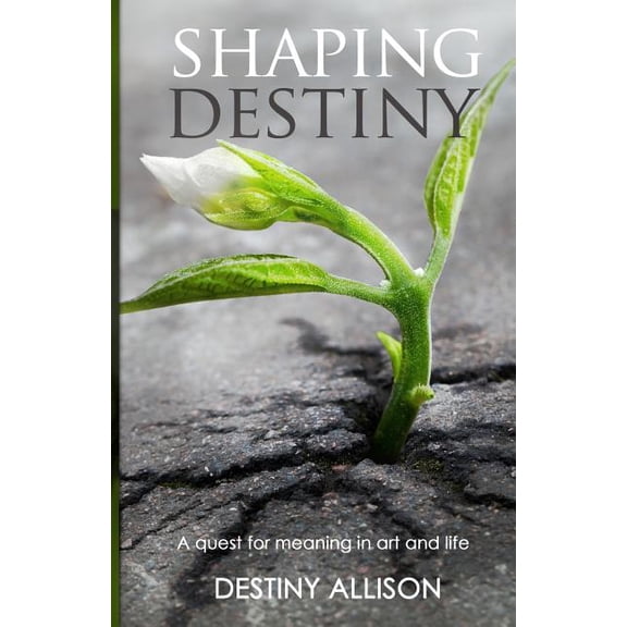 Pre-Owned Shaping Destiny: A Quest for Meaning in Art and Life