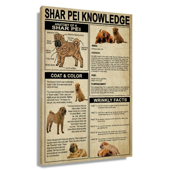 Shar Pei Dog Wall Art Knowledge For Bedroom Wall Prints For Bathroom Painting Artwork Home Canvas Unframed 12x18 in