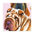 thumbnail image 1 of "Shar Pei Expressionism" - Canvas, 1 of 25