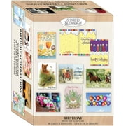 Shared Blessings Celebrations 48 Boxed Birthday Cards with KJV Scripture and Envelopes