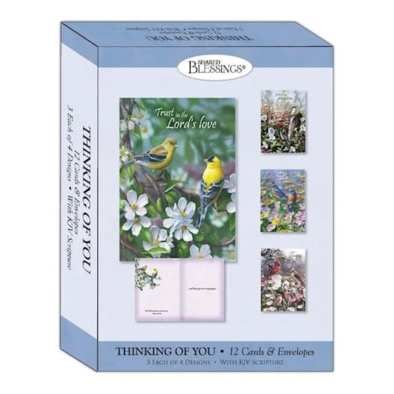 Shared Blessings-Thinking of You-Signs of Spring Boxed Card - Pack of 12
