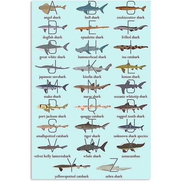 Shark Alphabet Metal Signs Shark Species Knowledge Tin Posters Classroom Room Wall Decor Kids Home Learning Plaques 8x12 inches