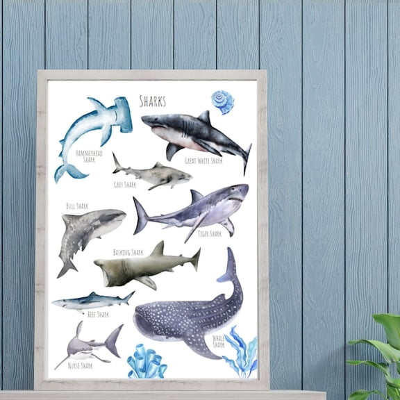 Shark Breeds A3 Poster, Ocean Animals Art, Unframed Paper Poster 16x20in