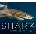 thumbnail image 1 of Shark, 1 of 1