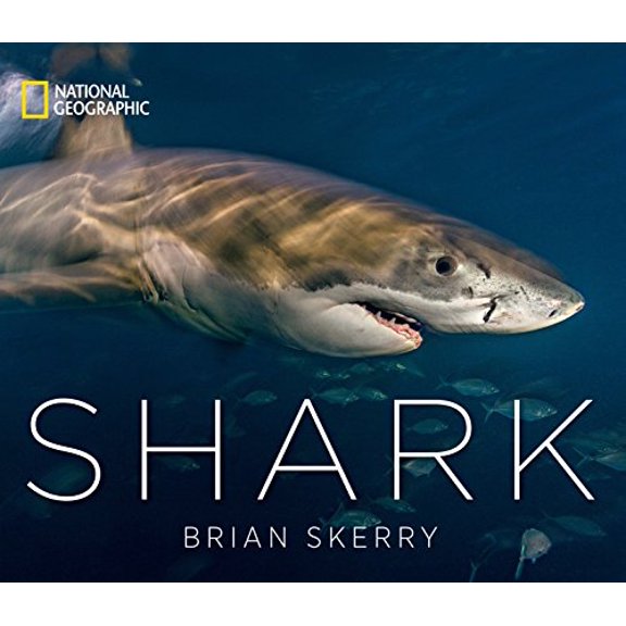 Pre-Owned Shark Paperback