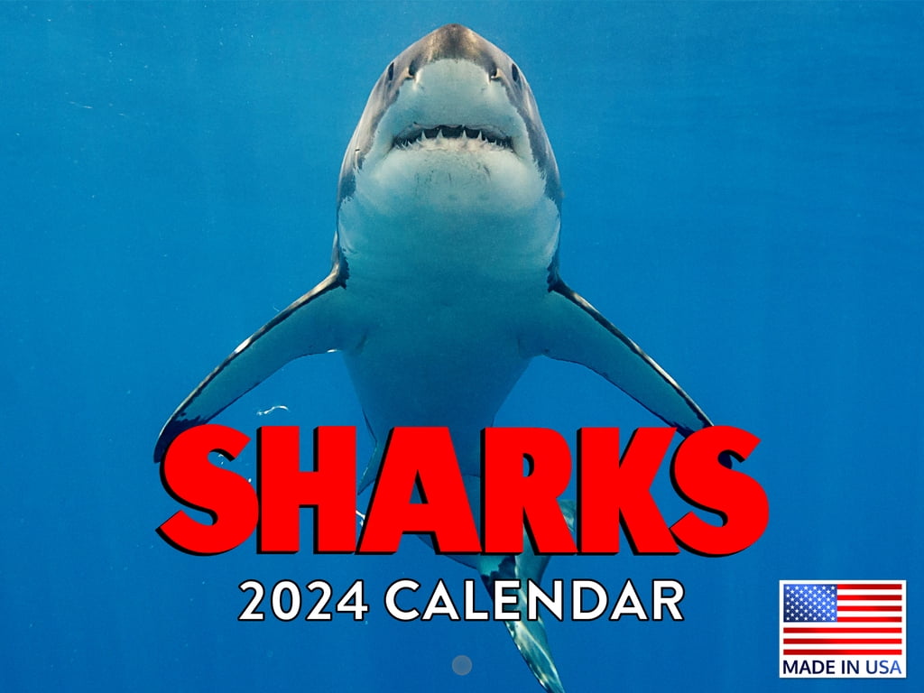 Shark Calender Sharks Gifts 2024 Wall Calendar Shark Calendar 2024