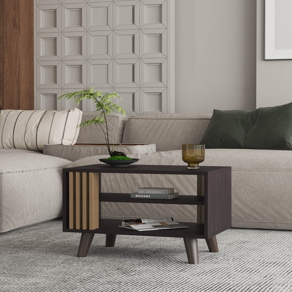 Shark Coffee Table with Open Storage and 4 legs, Wenge and Oak