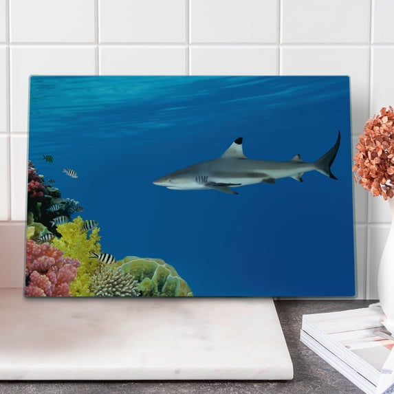 Shark Cutting Board, Tropical Underwater World with Fishes Swimming and Coral Reef Serene Wildlife Picture, Decorative Tempered Glass Cutting and Serving Board, Large Size, Multicolor, by Ambesonne