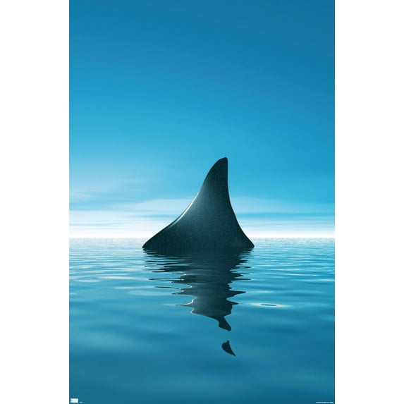 Shark - Day Fin Wall Poster, 22.375" x 34"