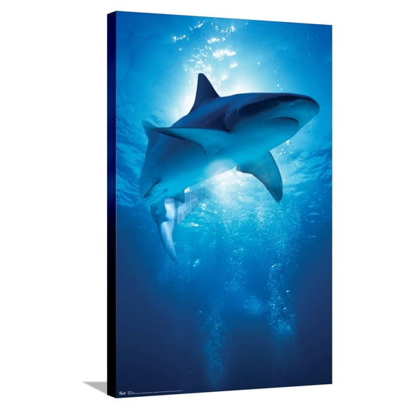 Shark - Depths Canvas Wall Poster, 22.375" x 34"