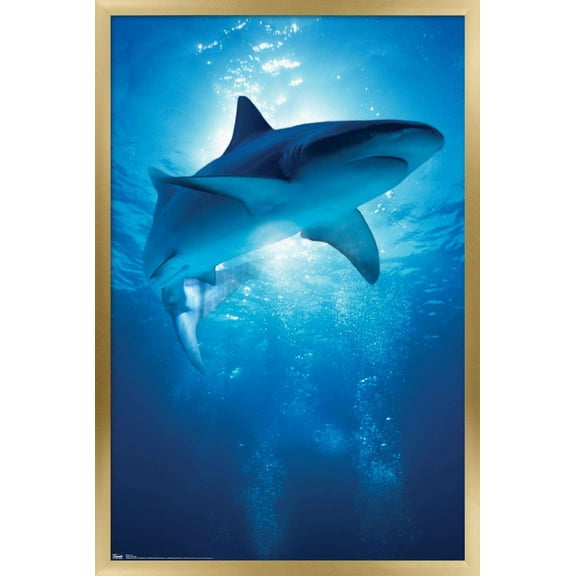 Shark - Depths Wall Poster, 14.725" x 22.375", Framed