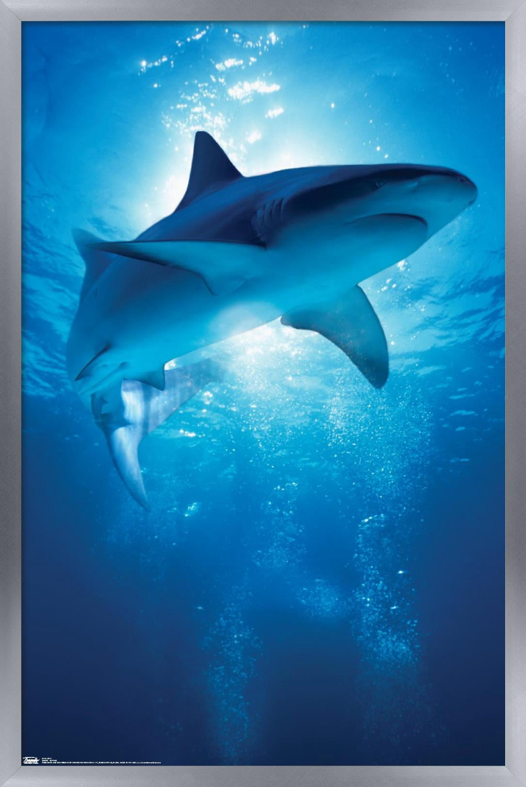 Shark - Depths Wall Poster, 14.725" x 22.375", Framed