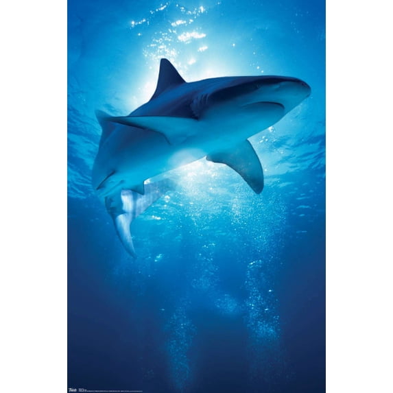 Shark - Depths Wall Poster, 14.725" x 22.375"