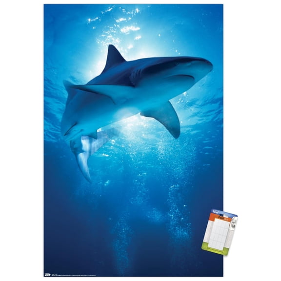 Shark - Depths Wall Poster, 14.725" x 22.375"