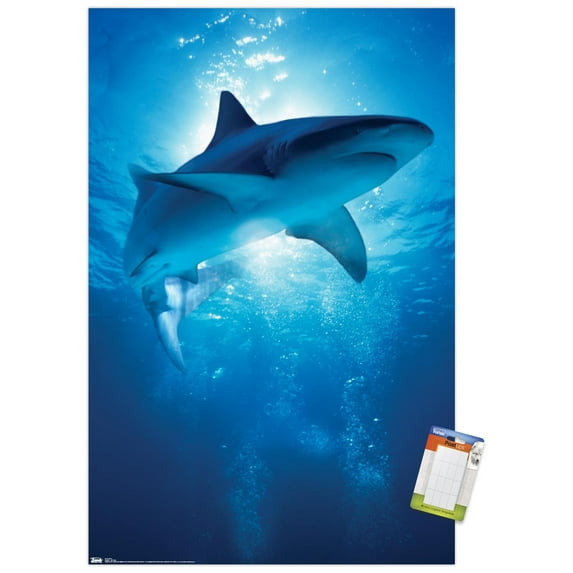 Shark - Depths Wall Poster, 14.725" x 22.375"