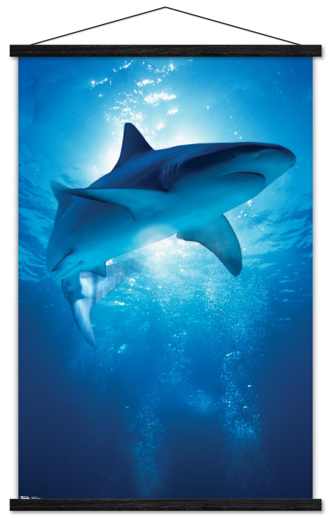 Shark - Depths Wall Poster with Wooden Magnetic Frame, 22.375" x 34"