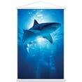 thumbnail image 1 of Shark - Depths Wall Poster with Wooden Magnetic Frame, 22.375" x 34", 1 of 5