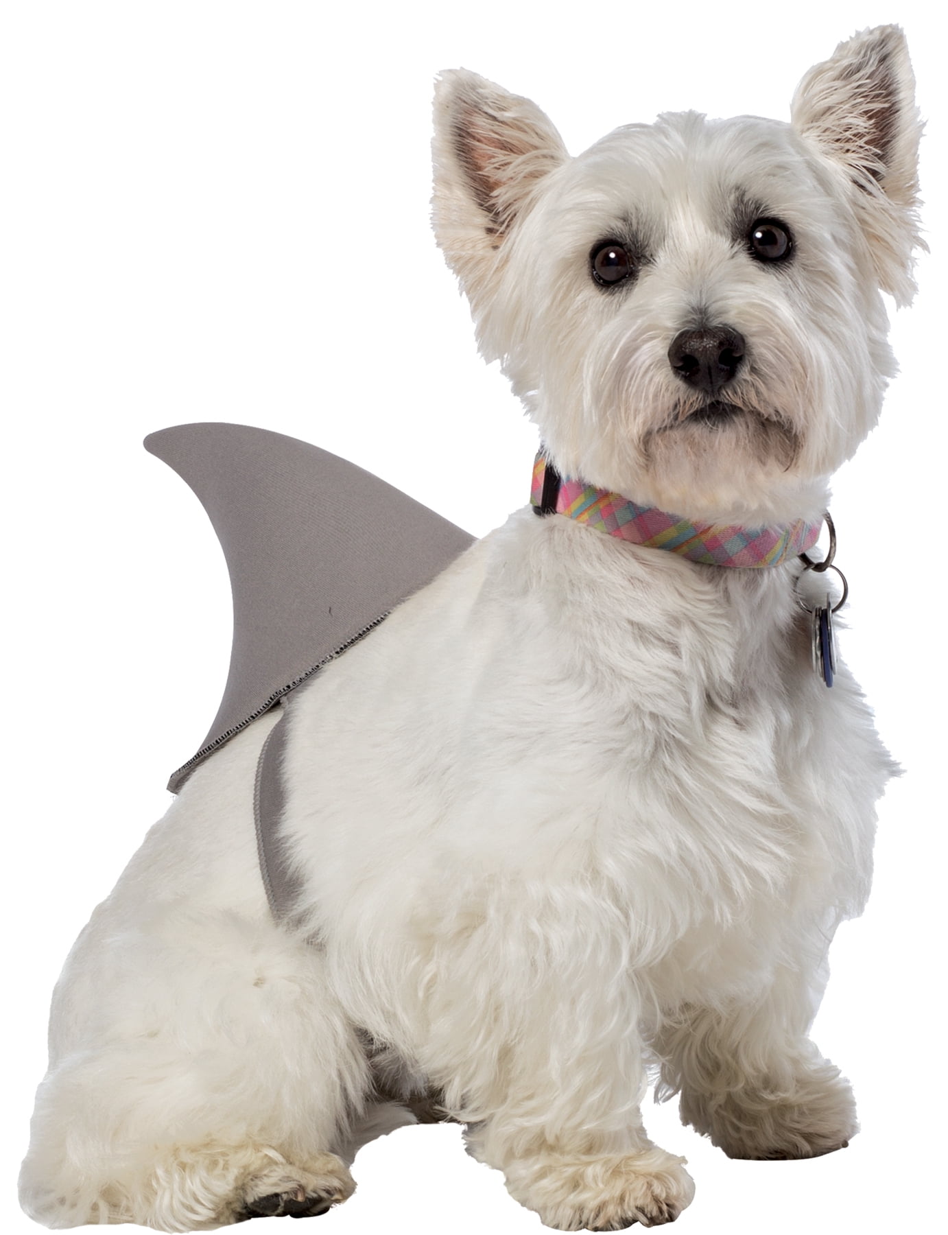 Large dog shark costume hotsell