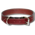 Shark Fin Gear Company Big Dog Classic Collar Xxl Fits 24" 28", 1 1