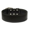 Shark Fin Gear Company Large Dog Urban Classic Collar Large Fits 16