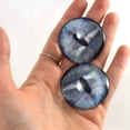 thumbnail image 1 of Shark Glass Eyes, 1 of 7