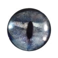 thumbnail image 1 of Shark Glass Eyes, 1 of 5