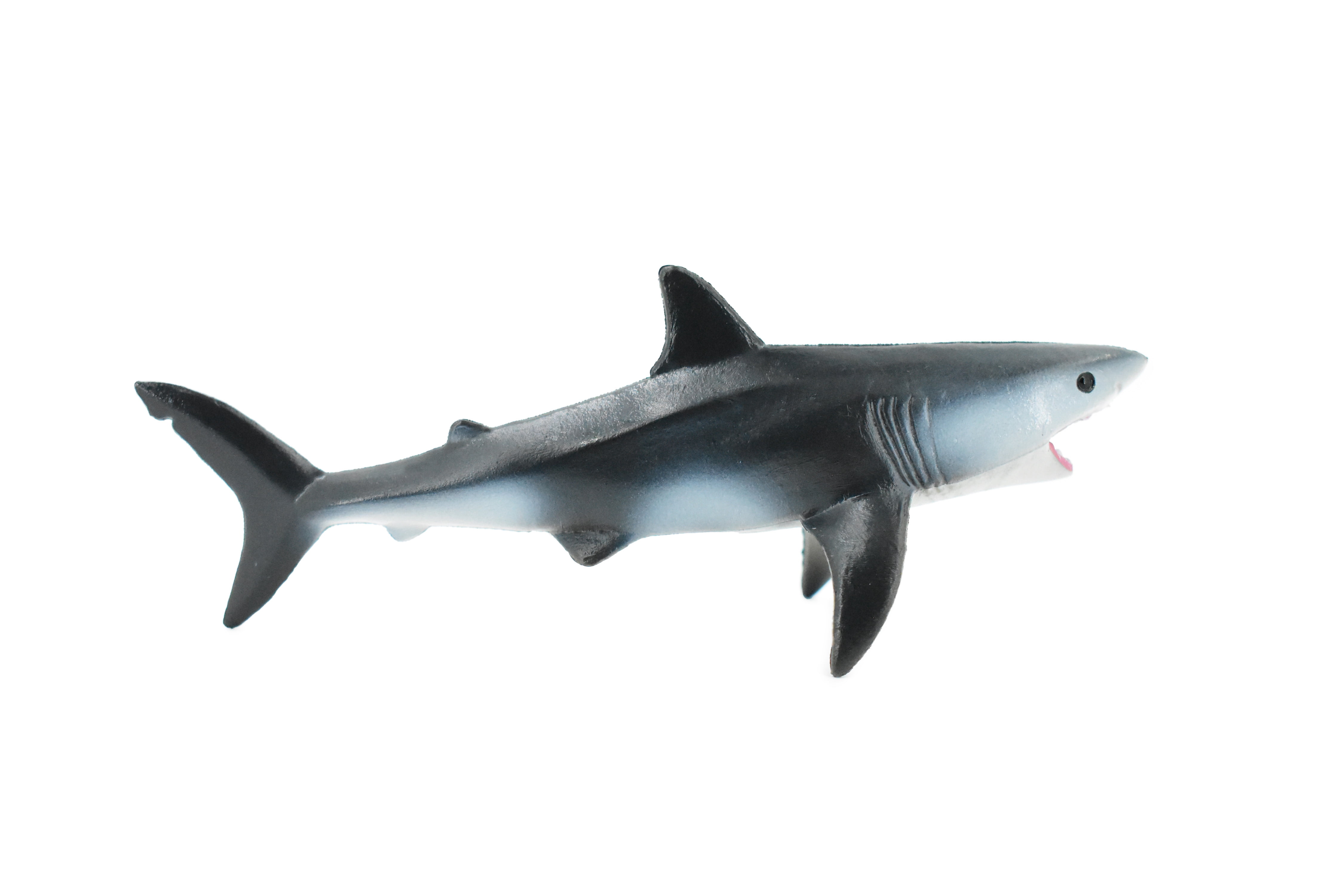 Shark, Great White Shark, Museum Quality, Rubber Fish, Hand Shark, Great White Shark, Museum Quality, Rubber Fish, Hand