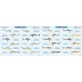 thumbnail image 1 of Shark Identification Chart, 1 of 1