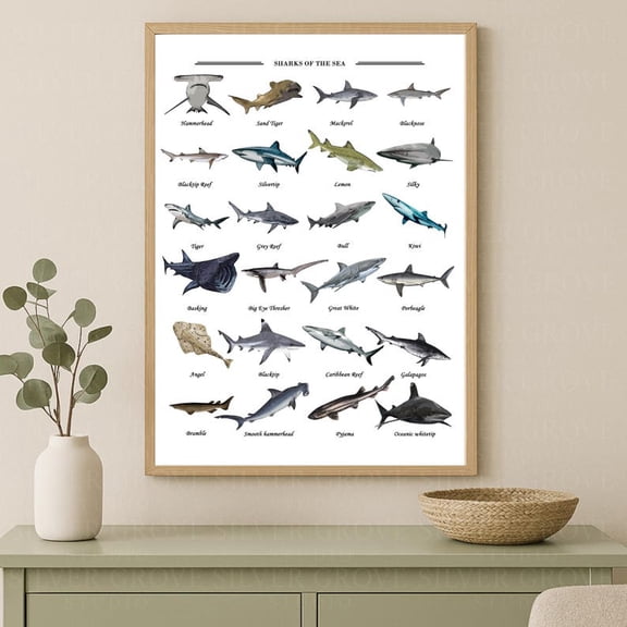 Shark Knowledge Educational Infographic Marine Biology Poster 16x24 UNFRAMED