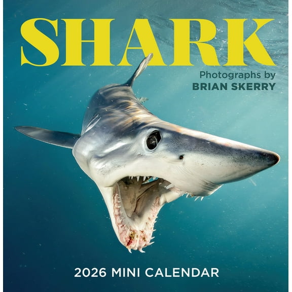 Shark Mini Wall Calendar 2026, (Paperback)