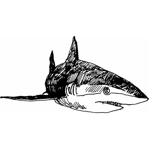 Shark - Mouth Open - Black & White - Picture Art - Peel & Stick Vinyl Wall Decal Sticker 10x20 Inches
