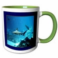 thumbnail image 1 of 3drose, Shark N Fish Undersea, 11oz Two-tone Green Mug, 1 of 6
