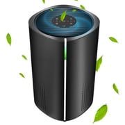 Ecotronic AP-250A Air Purifier, 258 sq ft Coverage, HEPA Filter, Black